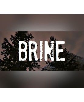 Brine Steam Key GLOBAL